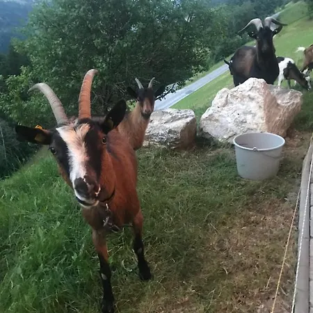 Apartmán Apartmany Lend Lend